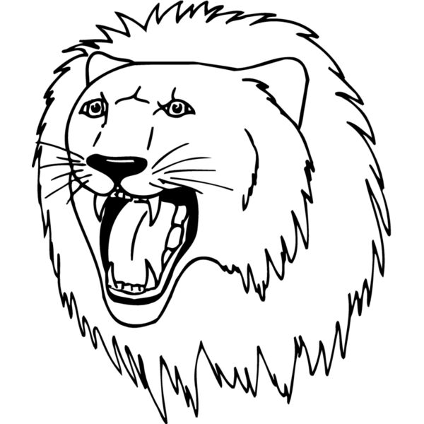 CAT11 Thumbnail