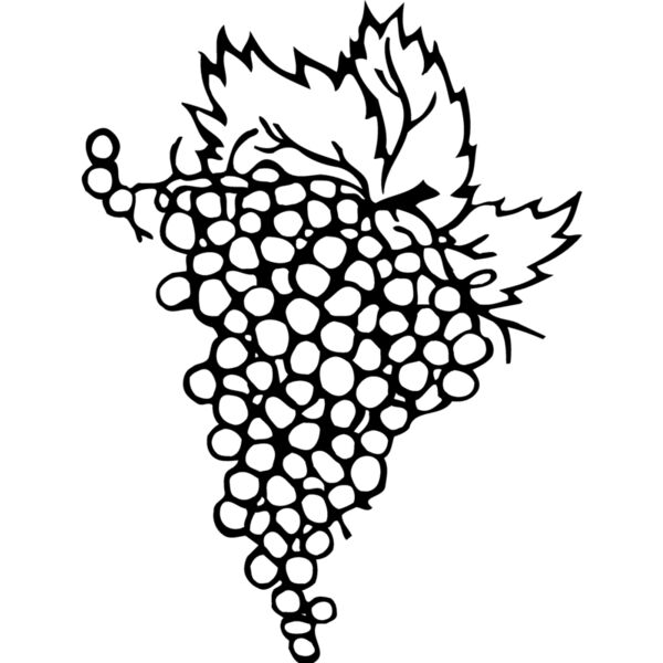 FRUIT004 Thumbnail