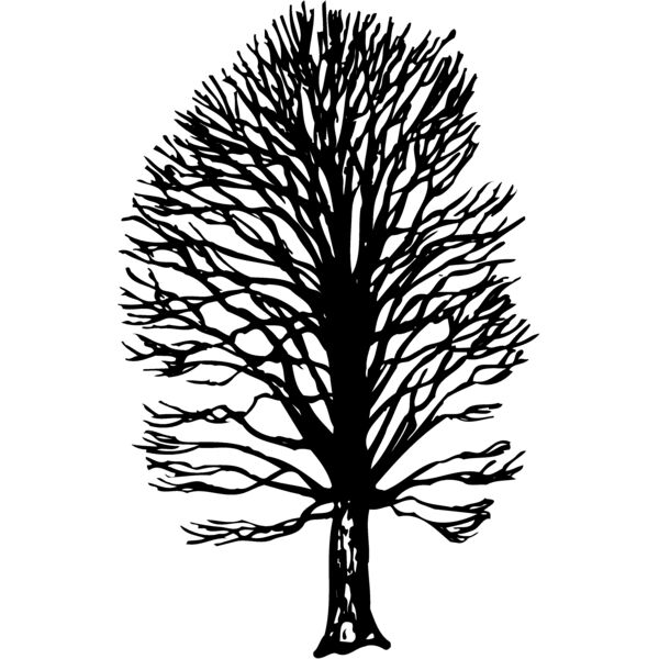 TREE0019 Thumbnail